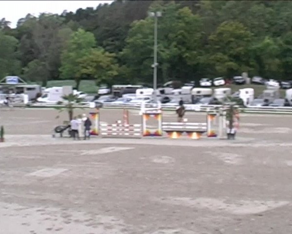 Reitturnier Aesch (Neftenbach) 2020