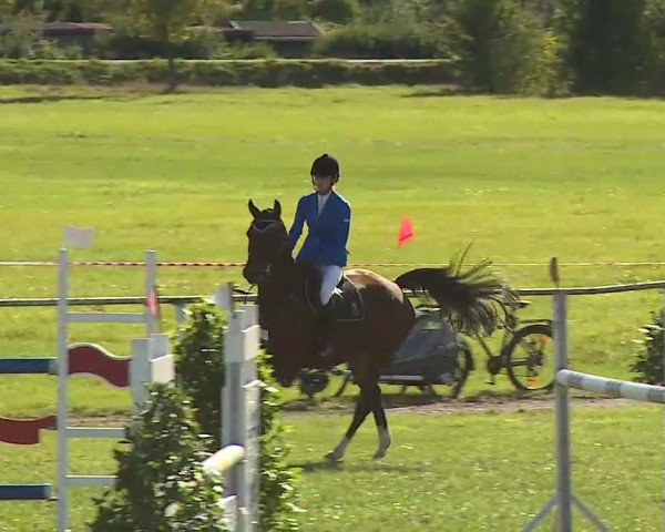 Reitturnier Bad Windsheim/Mfr. 2020