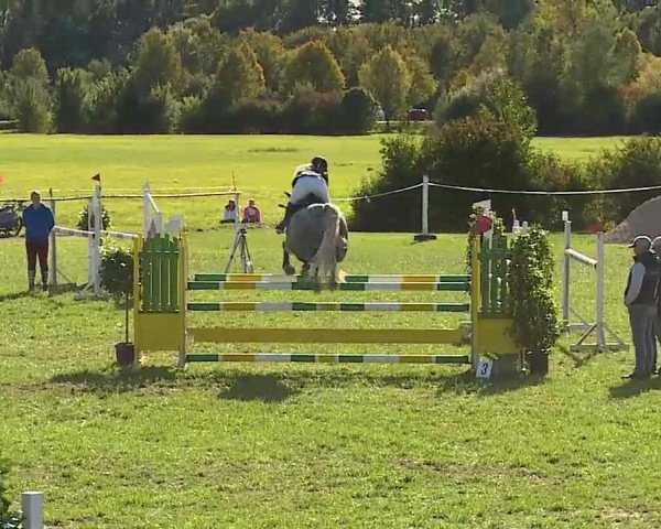 Reitturnier Bad Windsheim/Mfr. 2020