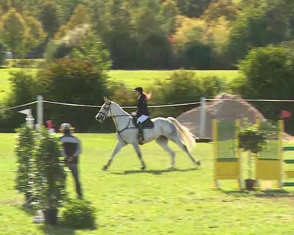 Reitturnier Bad Windsheim/Mfr. 2020