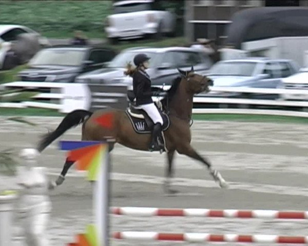 Reitturnier Aesch (Neftenbach) 2020