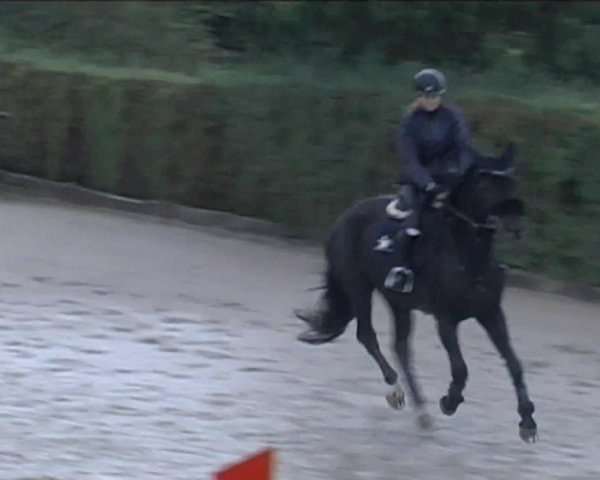 Reitturnier Aesch (Neftenbach) 2020
