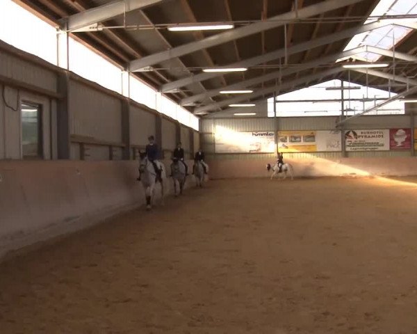 Reitturnier Bad Windsheim/Mfr. 2020