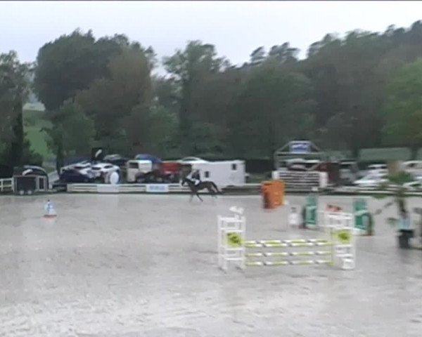 Reitturnier Aesch (Neftenbach) 2020