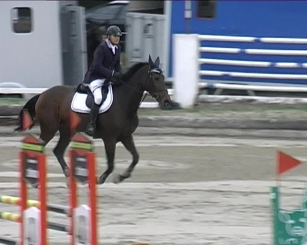 Reitturnier Aesch (Neftenbach) 2020