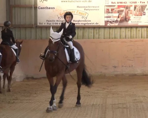 Reitturnier Bad Windsheim/Mfr. 2020