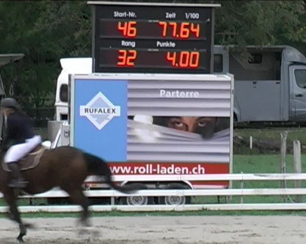 Reitturnier Aesch (Neftenbach) 2020