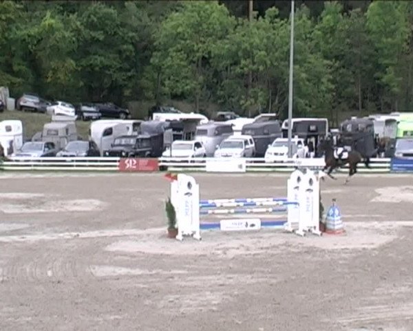 Reitturnier Aesch (Neftenbach) 2020