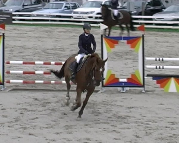 Reitturnier Aesch (Neftenbach) 2020
