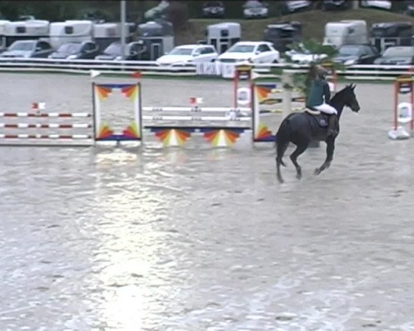 Reitturnier Aesch (Neftenbach) 2020