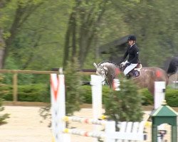 jumper Lotto 11 (Oldenburg show jumper,  )