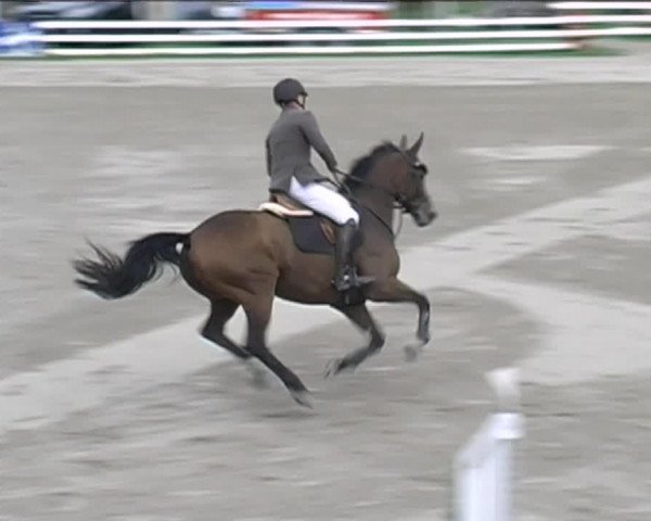 Reitturnier Aesch (Neftenbach) 2020