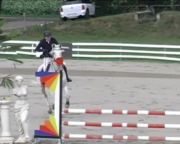 Reitturnier Aesch (Neftenbach) 2020