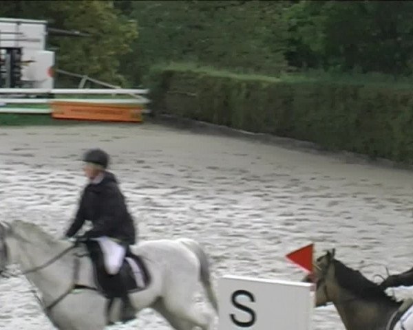 Reitturnier Aesch (Neftenbach) 2020