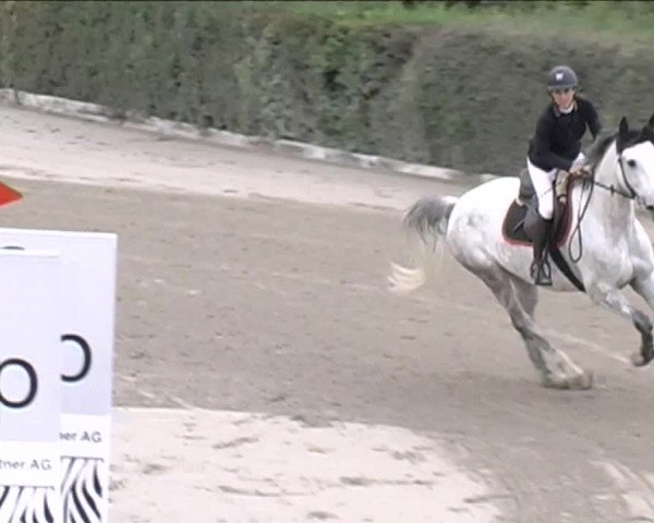 Reitturnier Aesch (Neftenbach) 2020