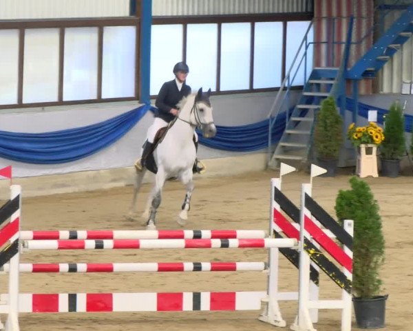 Reitturnier Buchs 2021