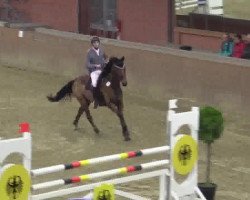 jumper Champion Du Bonheur (Rhinelander, 2008, from Champion For Pleasure)