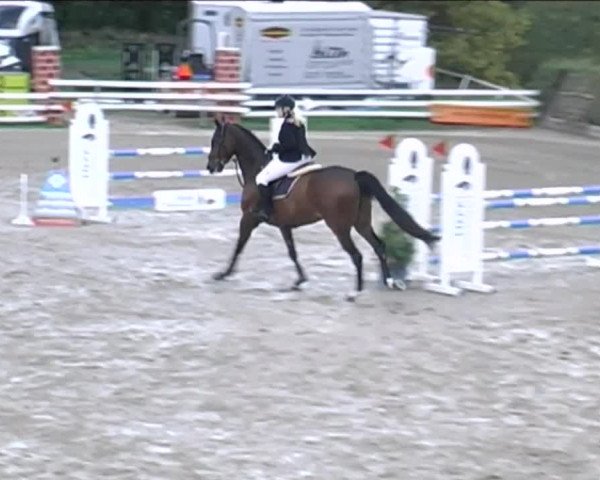 Reitturnier Aesch (Neftenbach) 2020