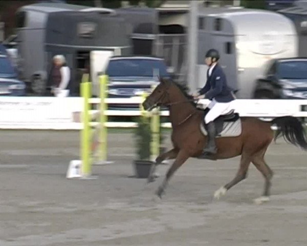 Reitturnier Aesch (Neftenbach) 2020
