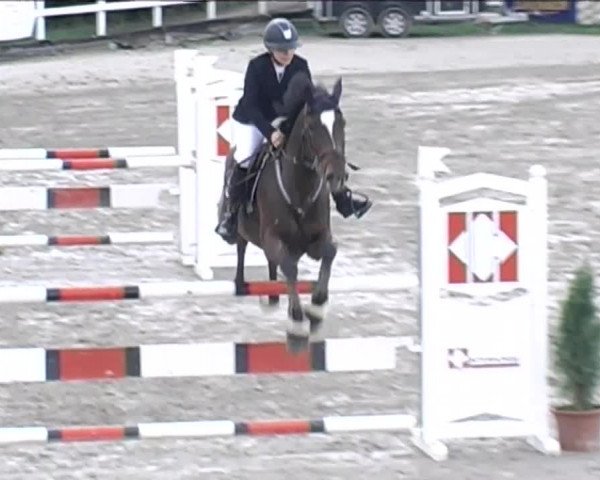 Reitturnier Aesch (Neftenbach) 2020