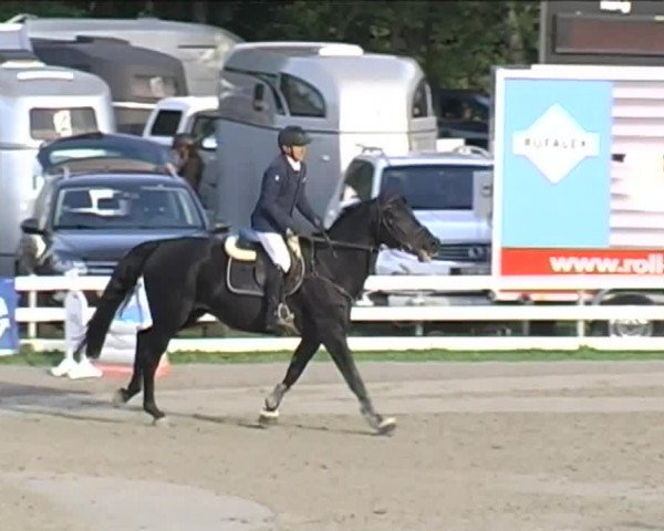 Reitturnier Aesch (Neftenbach) 2020