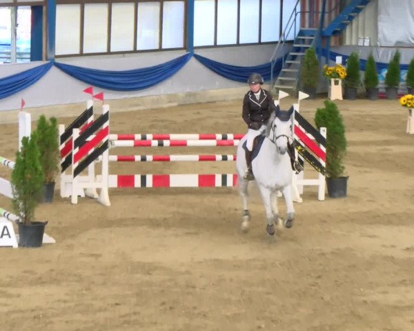 Reitturnier Buchs 2021
