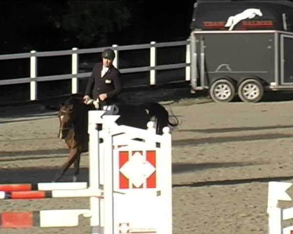 Reitturnier Aesch (Neftenbach) 2020