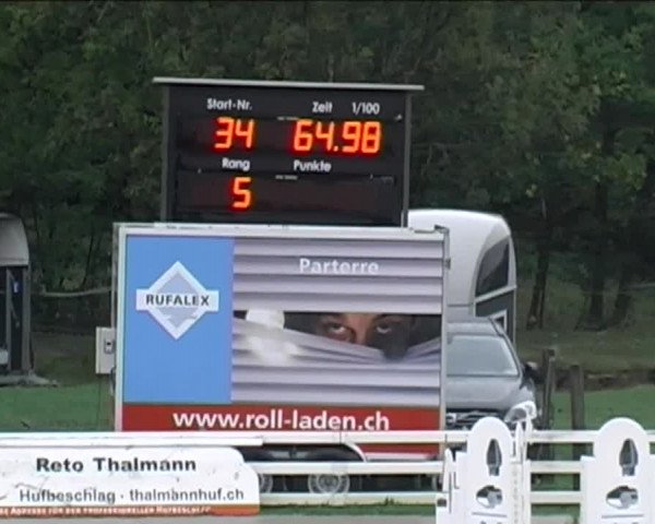 Reitturnier Aesch (Neftenbach) 2020