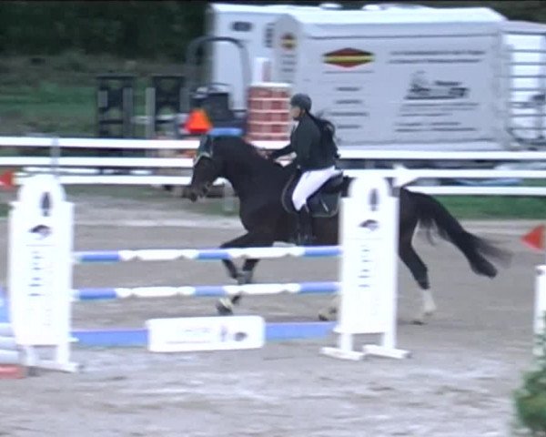 Reitturnier Aesch (Neftenbach) 2020