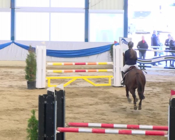 Reitturnier Buchs 2021
