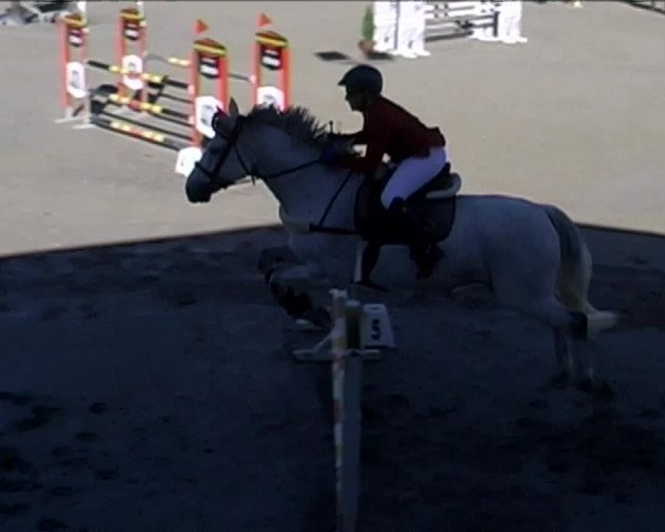 Reitturnier Aesch (Neftenbach) 2020