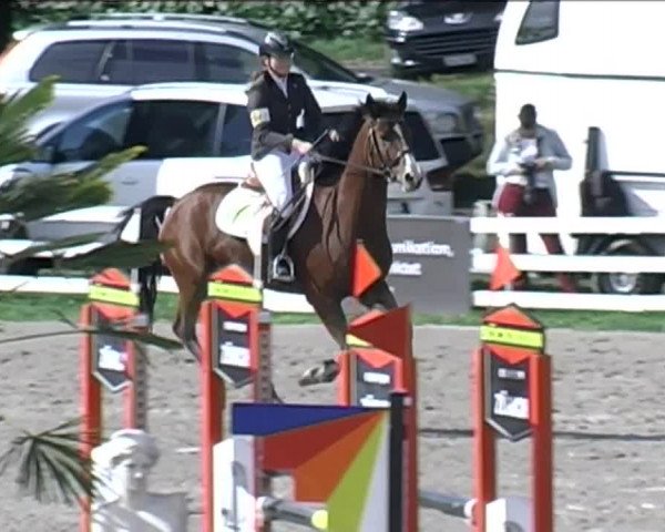Reitturnier Aesch (Neftenbach) 2020