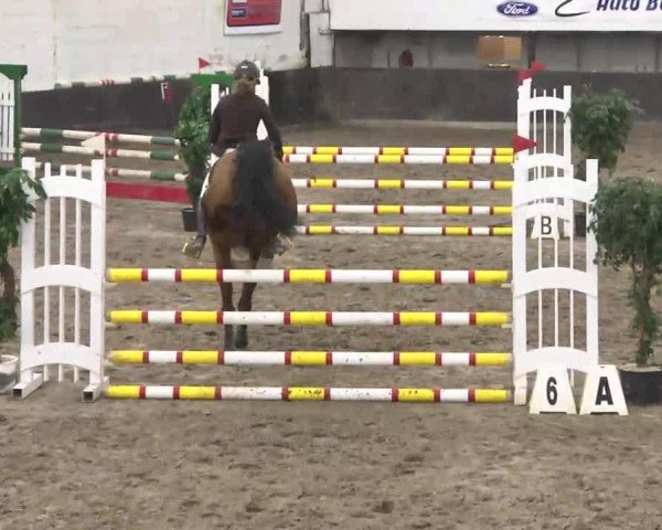 jumper Suri 21 (Zweibrücken, 2009, from Superstar)