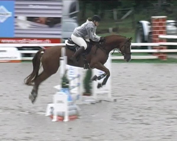 Reitturnier Aesch (Neftenbach) 2020