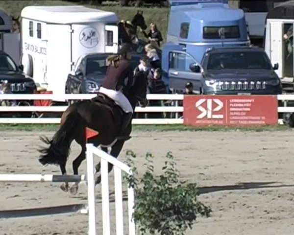 Reitturnier Aesch (Neftenbach) 2020