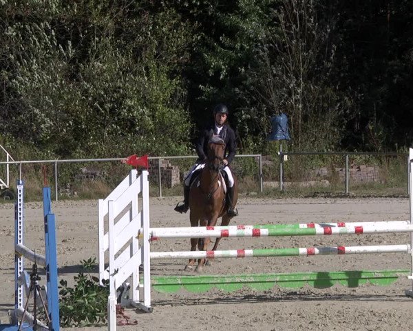 Reitturnier Herxheim 2020