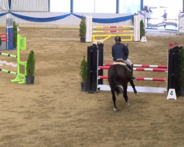 Reitturnier Buchs 2021