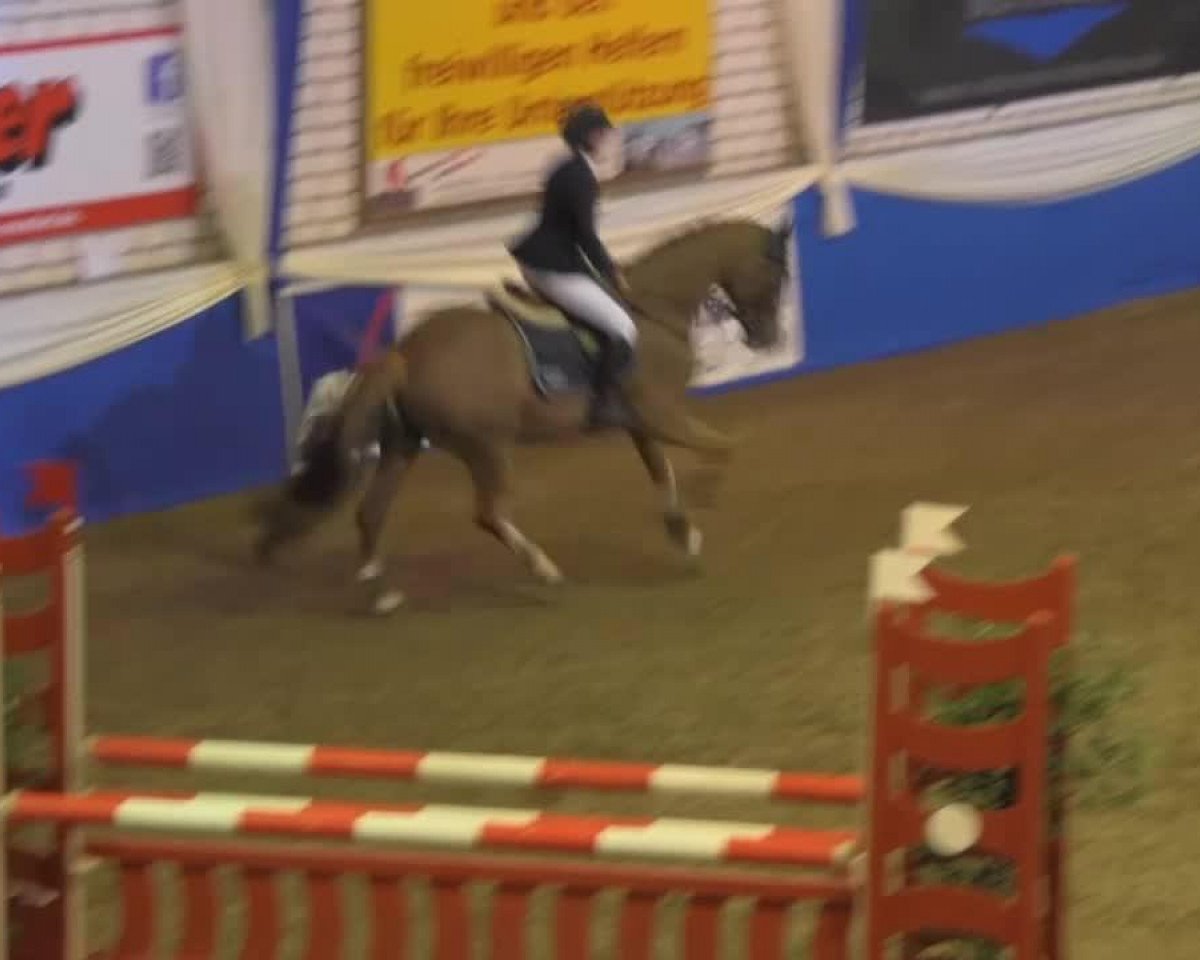 jumper Edger (unknown, 2009, from Guidam)