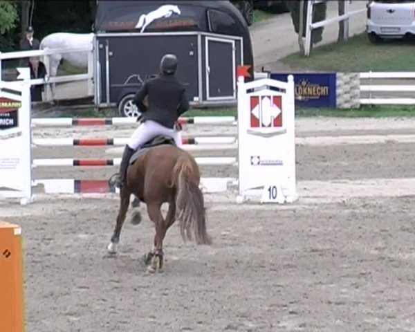Reitturnier Aesch (Neftenbach) 2020