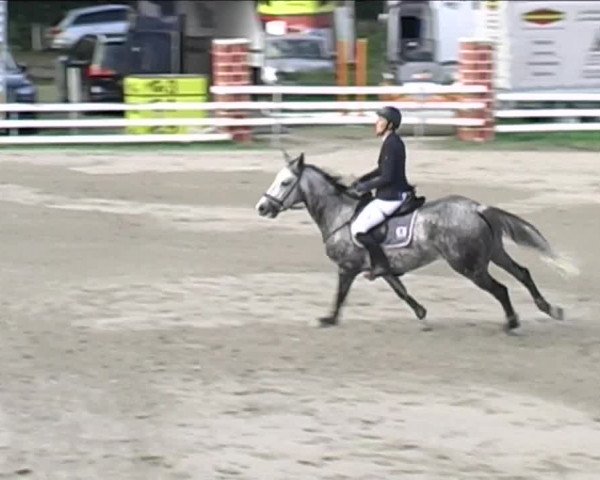 Reitturnier Aesch (Neftenbach) 2020