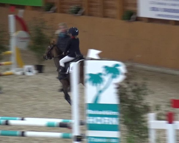 Reitturnier Xanten - Reitanlage Miss 2020