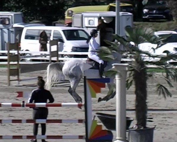 Reitturnier Aesch (Neftenbach) 2020