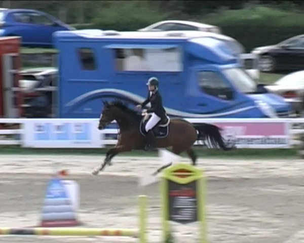 Reitturnier Aesch (Neftenbach) 2020