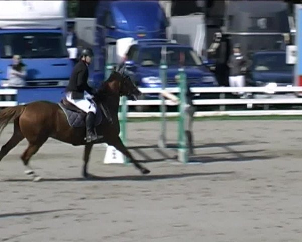Reitturnier Aesch (Neftenbach) 2020