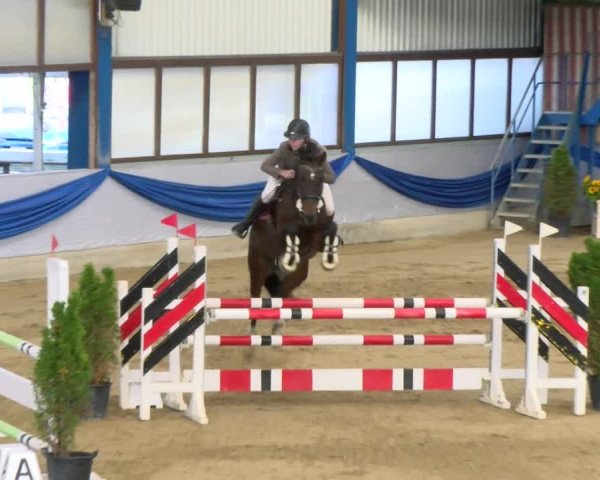 Reitturnier Buchs 2021