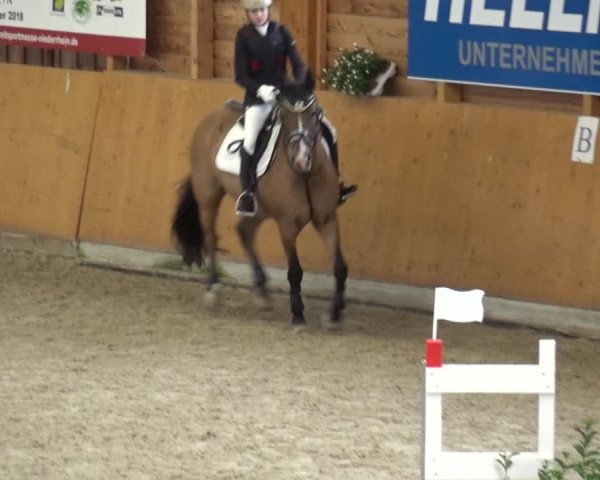 Reitturnier Xanten - Reitanlage Miss 2020