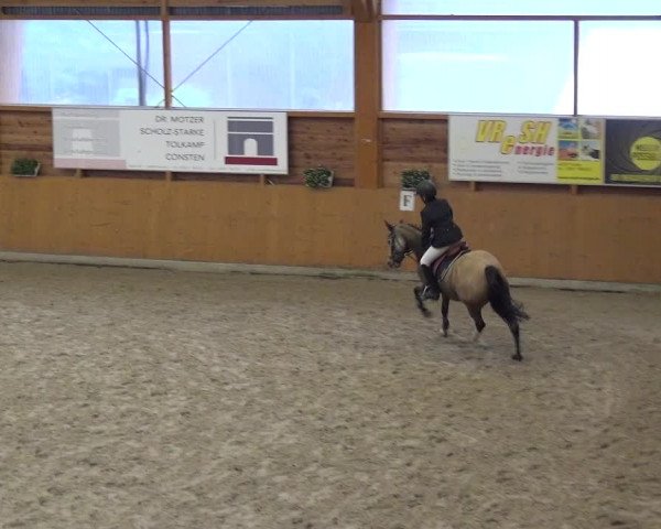 Reitturnier Xanten - Reitanlage Miss 2020