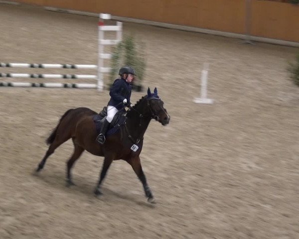 Reitturnier Xanten - Reitanlage Miss 2020
