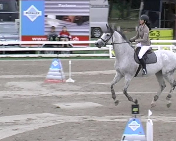Reitturnier Aesch (Neftenbach) 2020