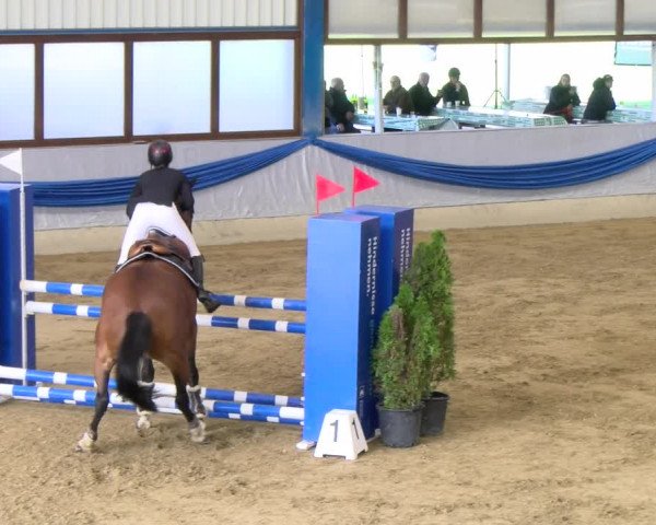 Reitturnier Buchs 2021